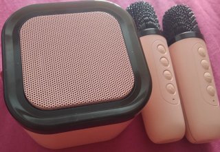 Altavoz Bluetooth con 2 Micrófonos