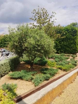Jardinero de exterior