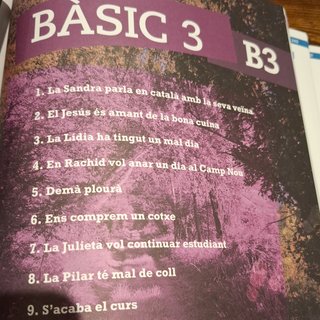 Passos 1. Llibre de classe. Nivell Bàsic (2024)