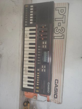 Teclado Electrónico Casio PT-31