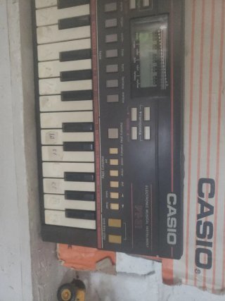 Teclado Electrónico Casio PT-31