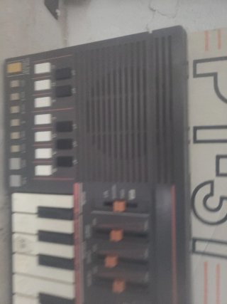 Teclado Electrónico Casio PT-31