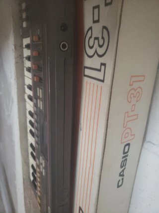 Teclado Electrónico Casio PT-31