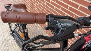 Bicicleta Montana Clásica 1930 F
