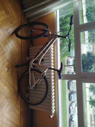Bicicleta Topbike Aluminio Rod 26