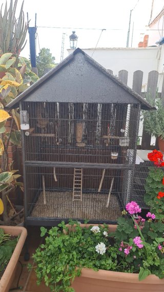 Jaula para Loros exterior