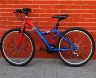 Bicicleta de montaña SENOR XC 35