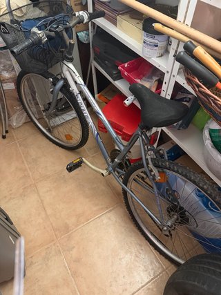 Bicicleta Orbea Paseo