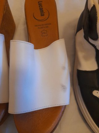 Lote de 6 pares de zapatos talla 36,37 y 39