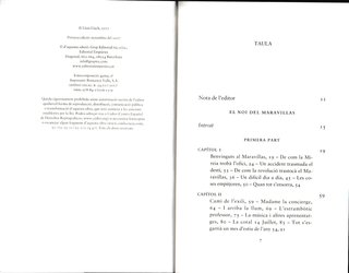 El noi del Maravillas