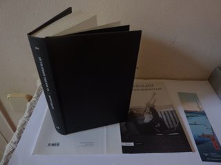 El noi del Maravillas