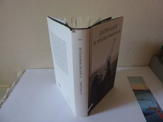 El noi del Maravillas