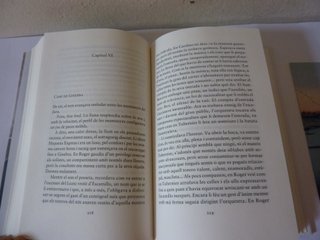 El noi del Maravillas