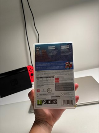 Minecraft Nintendo Switch