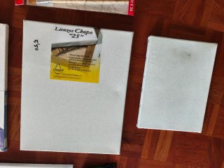 Kit lienzos, pinceles y acrílicos