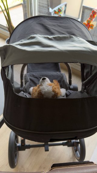 Silla de Paseo Cybex Priam Negra