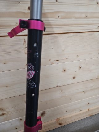 Monopattino portata max 100kg