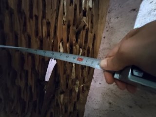 Trillo antiguo de madera