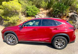 Lexus NX 300H Hybrid Executive Navigation 4WD2019