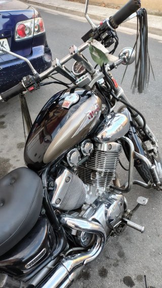 Yamaha Virago 535 DX 1999