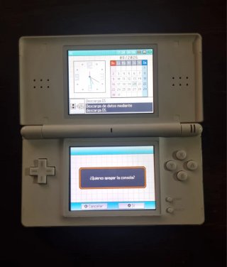 Nintendo DS Lite Blanca + Cargador