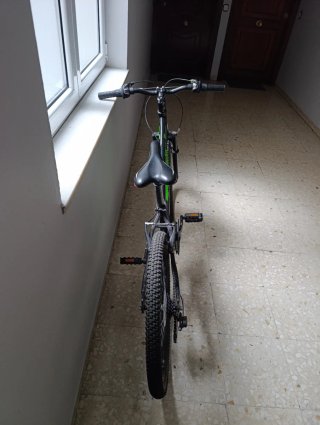 Bicicleta infantil DTB SPEED 240