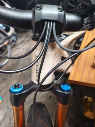 Focus Sam 6.9 (2022) Bicicleta Montaña