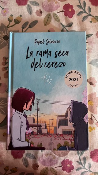 Lote libros infantiles
