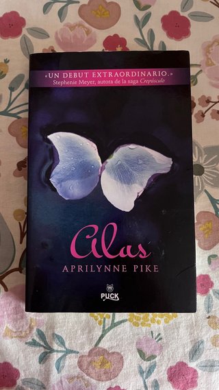 Lote libros juveniles