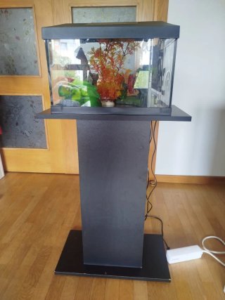 Acuario Aquarel 60L con calentador y filtro