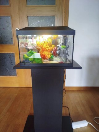 Acuario Aquarel 60L con calentador y filtro
