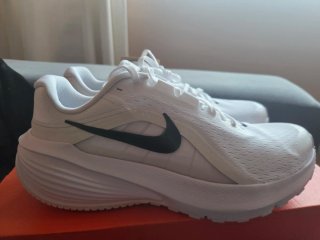 Deportivas Nike Running Unisex Blancas