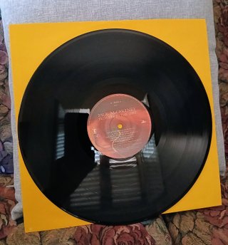 Paul McCartney - Flowers in the Dirt LP