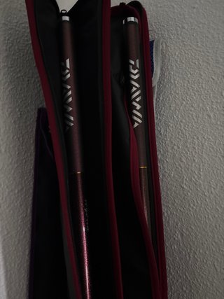 Caña de pescar Daiwa Prime caster