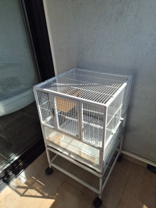 Jaula para pájaros con base transparente