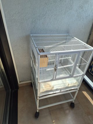 Jaula para pájaros con base transparente