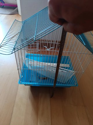 Jaula para pájaros azul