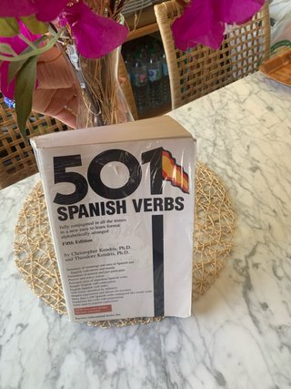 501 Spanish Verbs