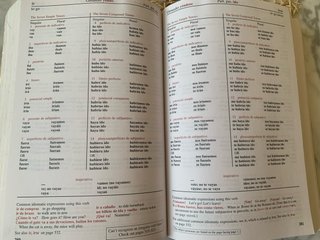 501 Spanish Verbs