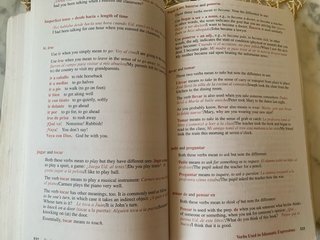 501 Spanish Verbs