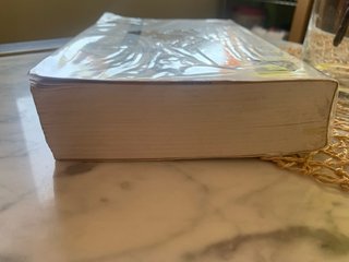 501 Spanish Verbs