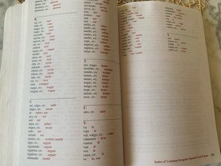 501 Spanish Verbs