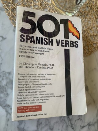 501 Spanish Verbs