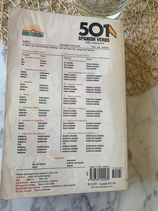 501 Spanish Verbs