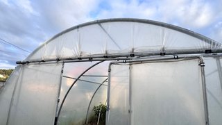 Invernadero Túnel 5x8m - 40m²