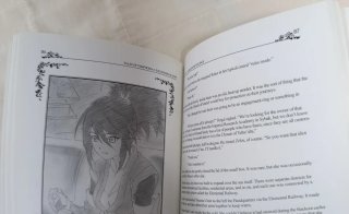 Libro Tales of Symphonia Successors of Hope