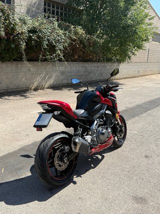 Kawasaki Z900 A2 2019