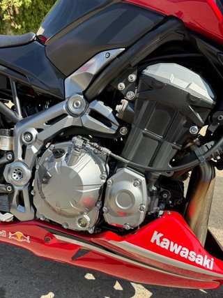 Kawasaki Z900 A2 2019
