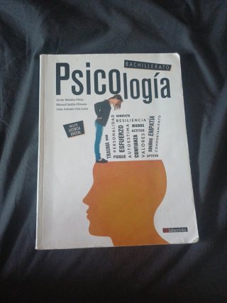 Psicología, Bachillerato