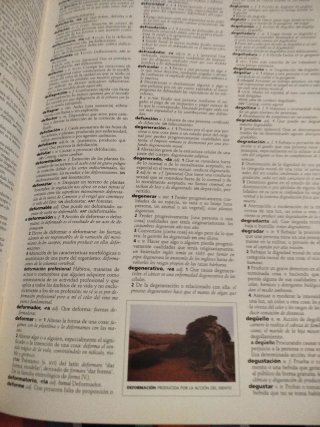 Diccionario general ilustrado  Lengua española